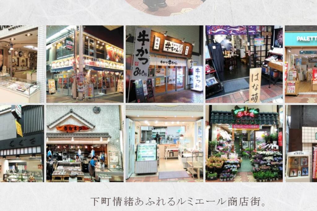 Shinkoiwa House At Jr Line.Easy To Airport&Disney. Токио Экстерьер фото